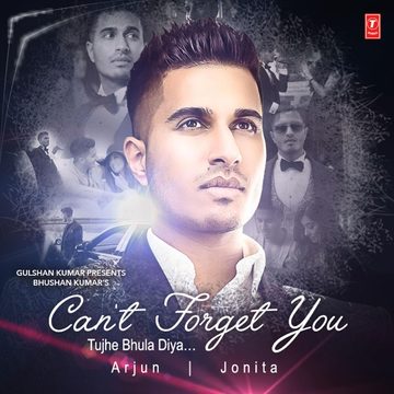 Cant Forget You (Tujhe Bhula Diya) songs