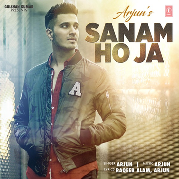 Sanam Ho Ja songs