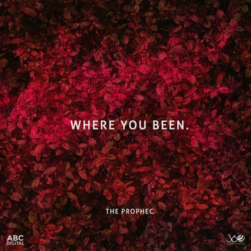 Where You Been songs