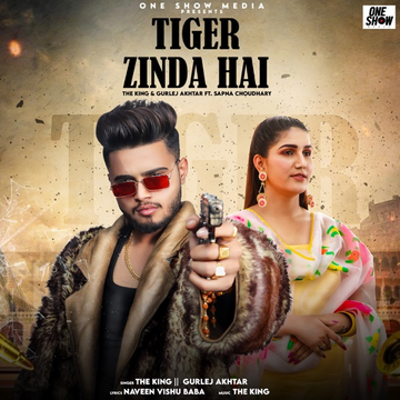 Tiger Zinda Hai songs