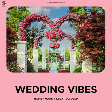Wedding Vibes songs