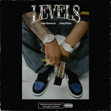 Levels songs