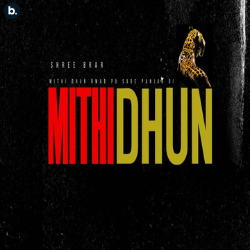 Mithi Dhun songs