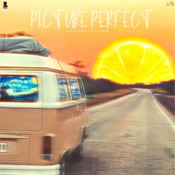 Picture Perfect songs