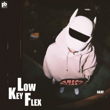 Lowkey Flex songs