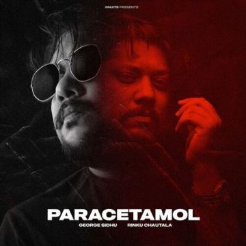 Paracetamol songs