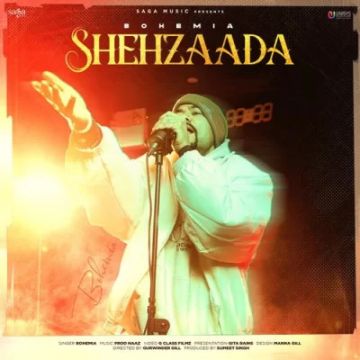 Shehzaada  mp3 song